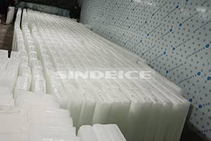 廣東某制冰廠  30噸塊冰機(jī) 